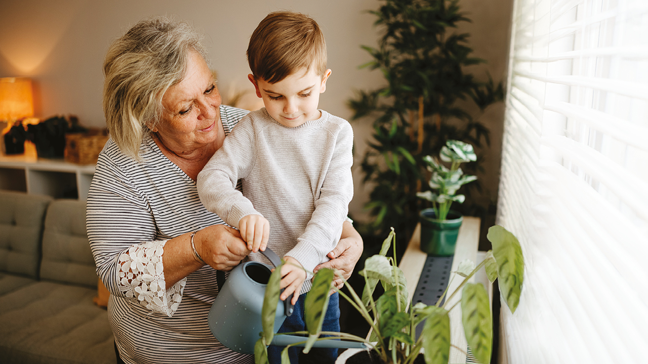 Annual report cover 2024 2